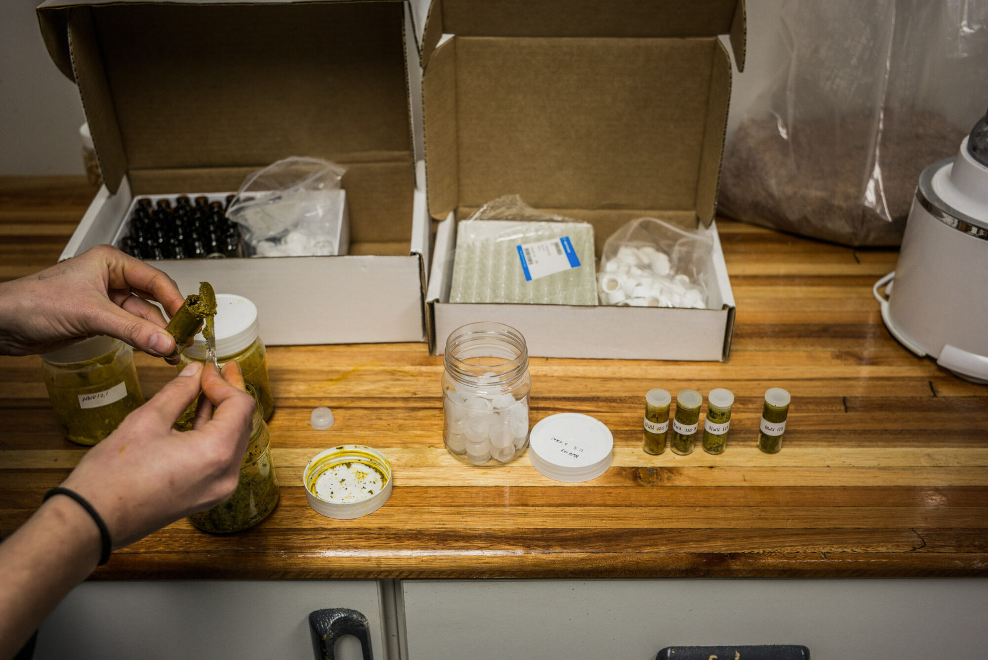 Potschefstroome, Sued Afrika, 1. Juli 2014  - Natasa Taseski und AL. J. Grobler in der University Northwest. Reportage in Suedafrika mit Werner Spitteler ueber Malaria, Artemisia Annua, Moringa und Mineralien.