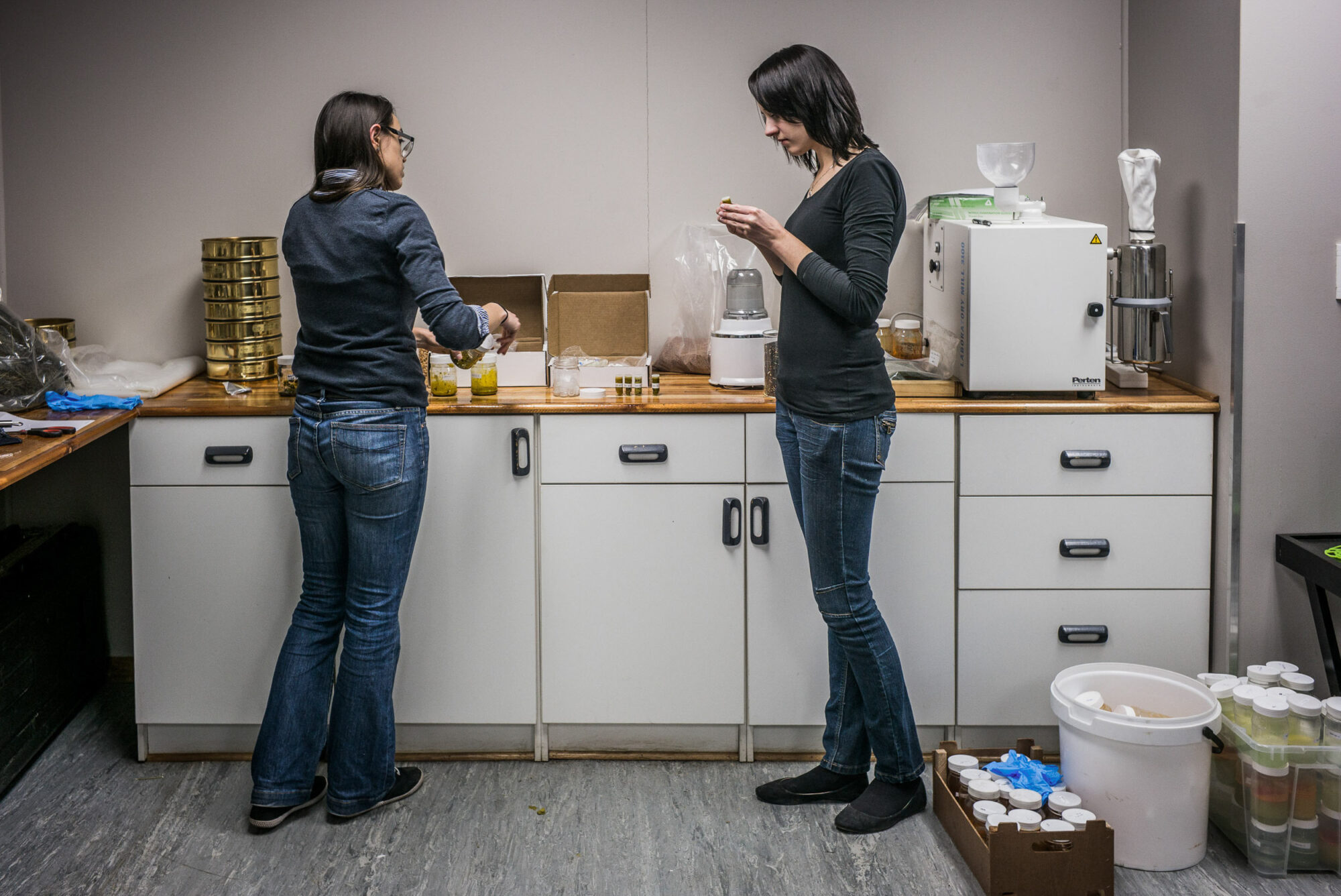 Potschefstroome, Sued Afrika, 1. Juli 2014  - Natasa Taseski und AL. J. Grobler in der University Northwest. Reportage in Suedafrika mit Werner Spitteler ueber Malaria, Artemisia Annua, Moringa und Mineralien.