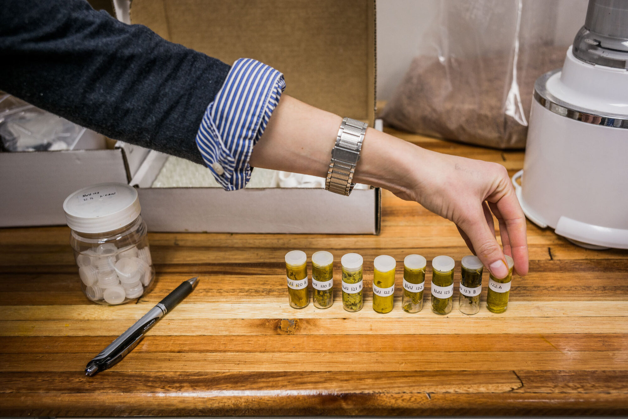 Potschefstroome, Sued Afrika, 1. Juli 2014  - Natasa Taseski und AL. J. Grobler in der University Northwest. Reportage in Suedafrika mit Werner Spitteler ueber Malaria, Artemisia Annua, Moringa und Mineralien.