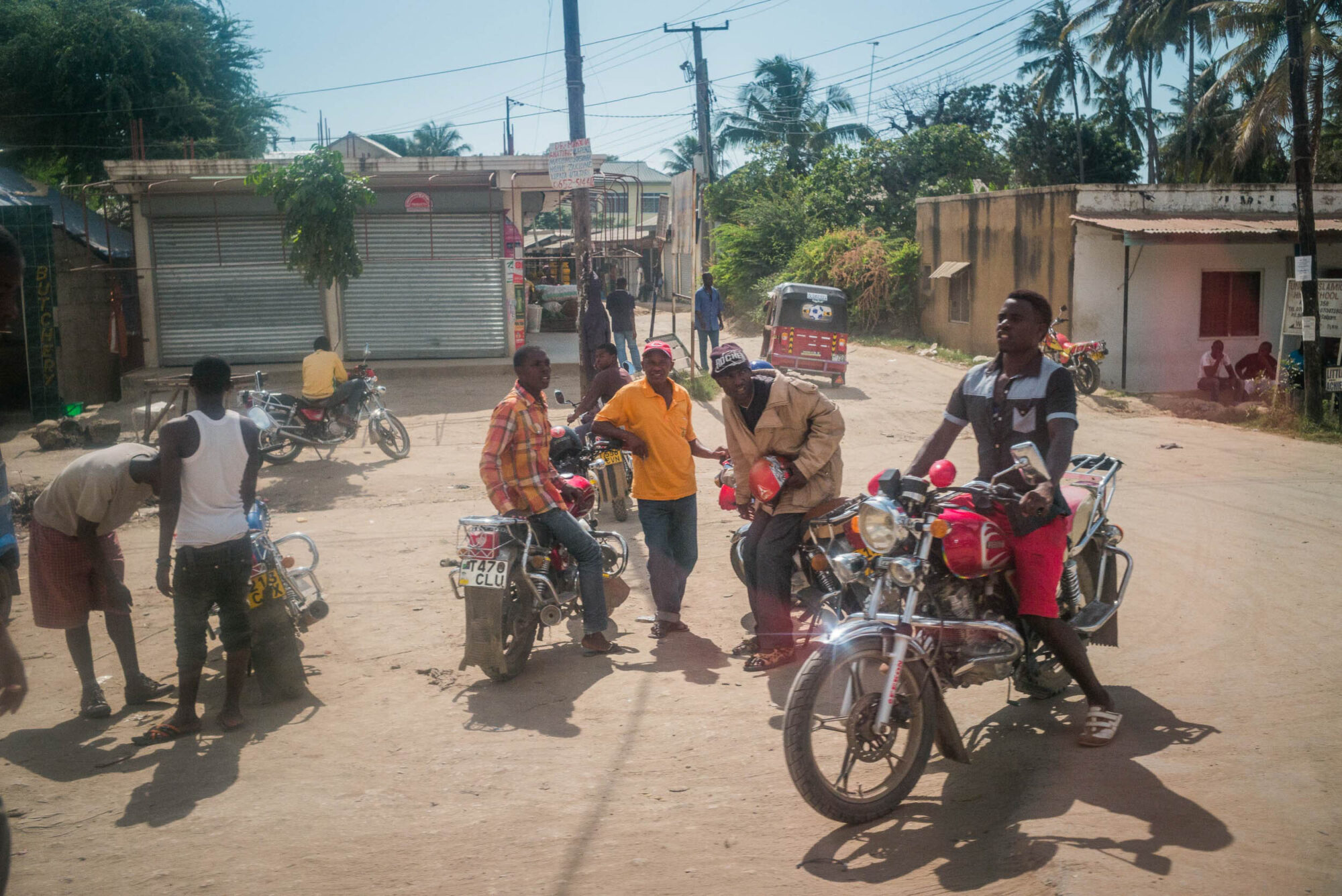 Dar Es Salaam, Tansania, 5. Juli 2014  - Reportage in Tansania mit Werner Spitteler ueber Malaria, Artemisia Annua, Moringa und Mineralien.