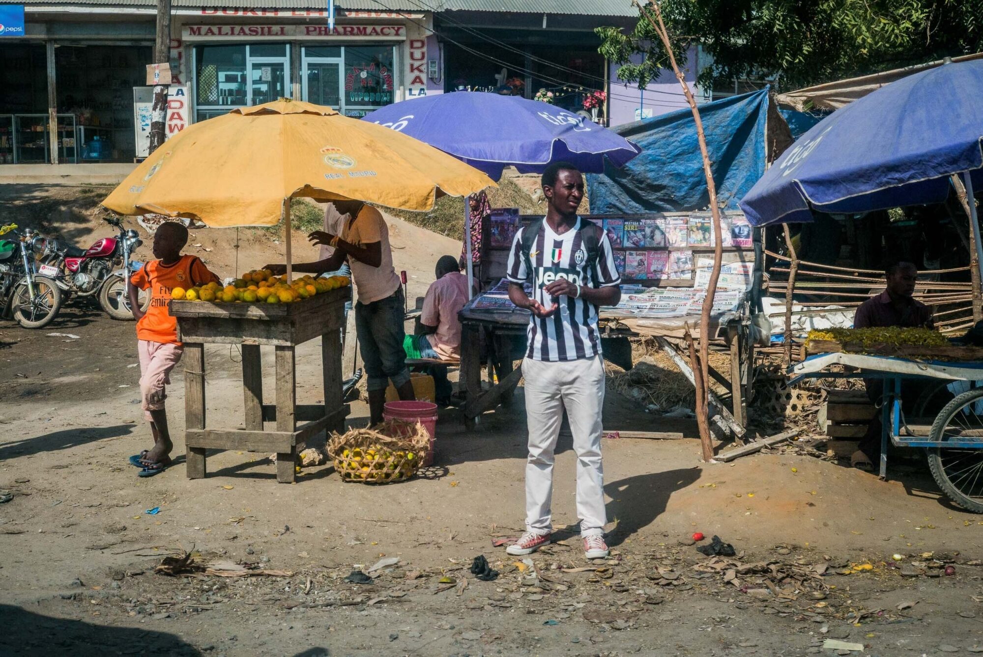 Dar Es Salaam, Tansania, 5. Juli 2014  - Reportage in Tansania mit Werner Spitteler ueber Malaria, Artemisia Annua, Moringa und Mineralien.