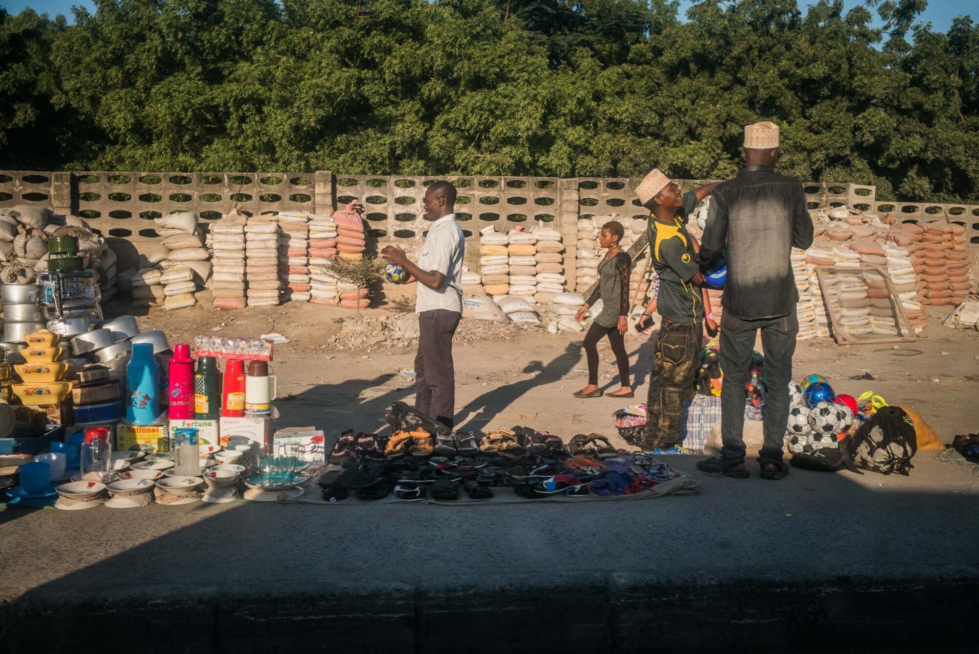 Dar Es Salaam, Tansania, 5. Juli 2014  - Reportage in Tansania mit Werner Spitteler ueber Malaria, Artemisia Annua, Moringa und Mineralien.
