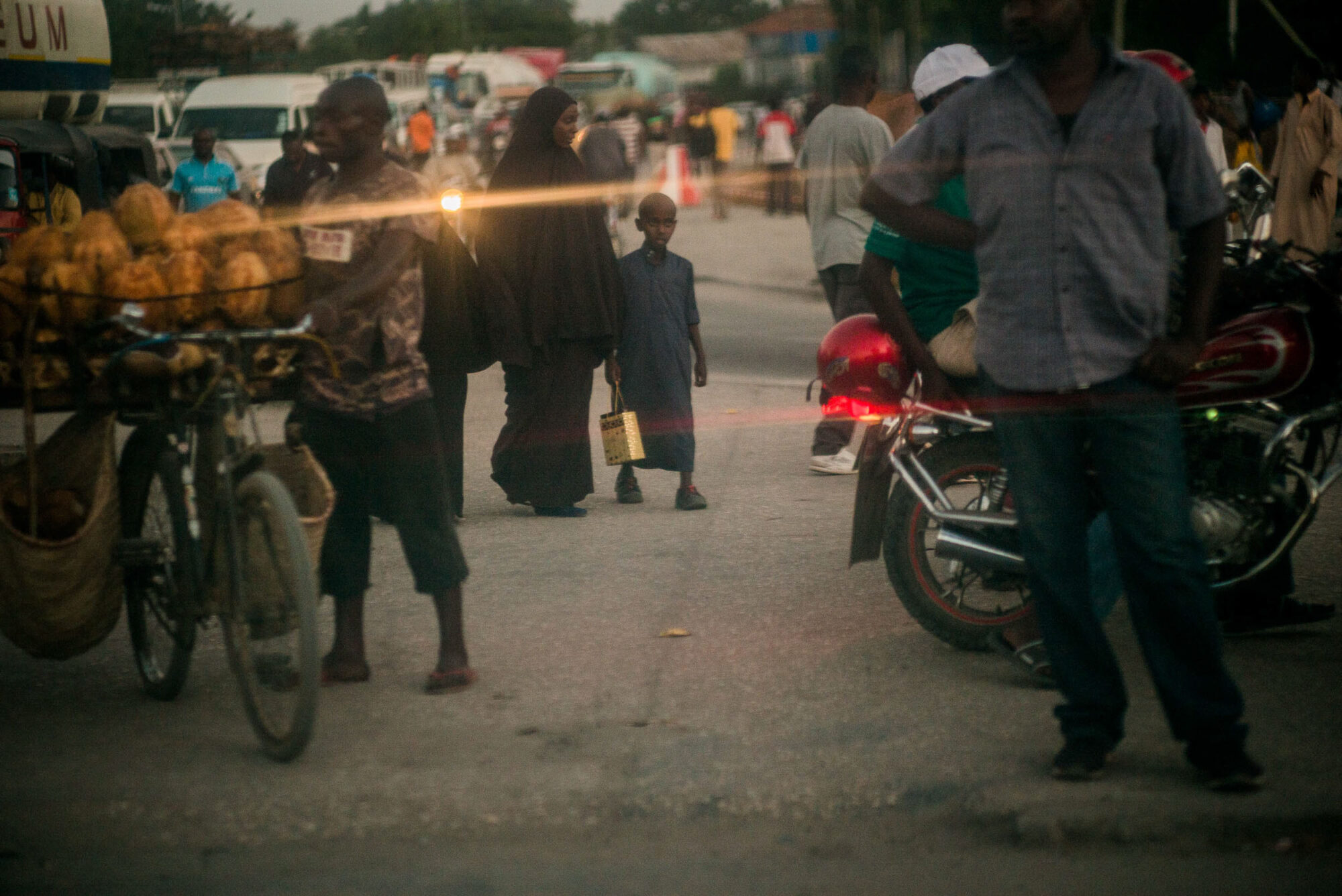 Dar Es Salaam, Tansania, 5. Juli 2014  - Reportage in Tansania mit Werner Spitteler ueber Malaria, Artemisia Annua, Moringa und Mineralien.