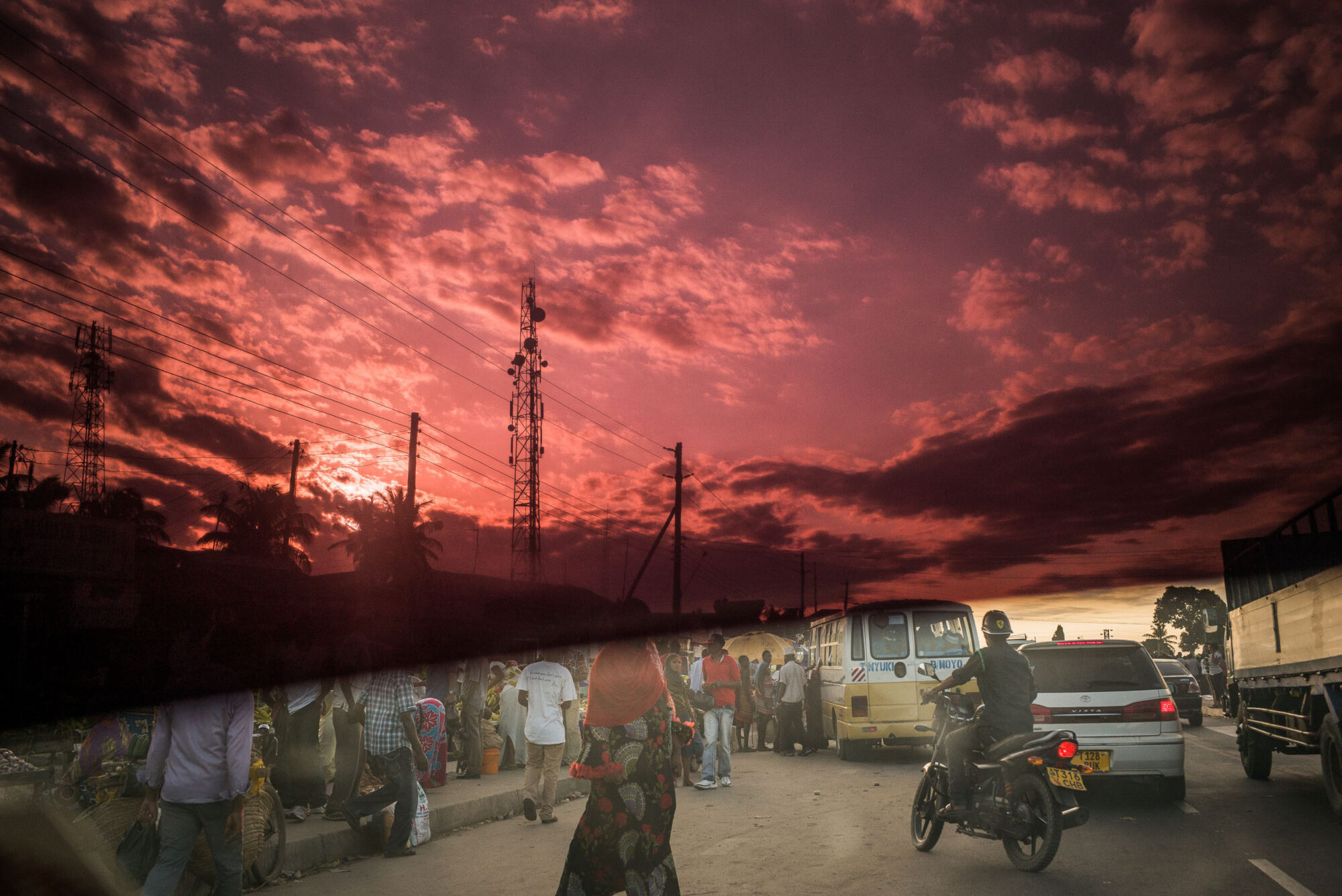 Dar Es Salaam, Tansania, 5. Juli 2014  - Reportage in Tansania mit Werner Spitteler ueber Malaria, Artemisia Annua, Moringa und Mineralien.