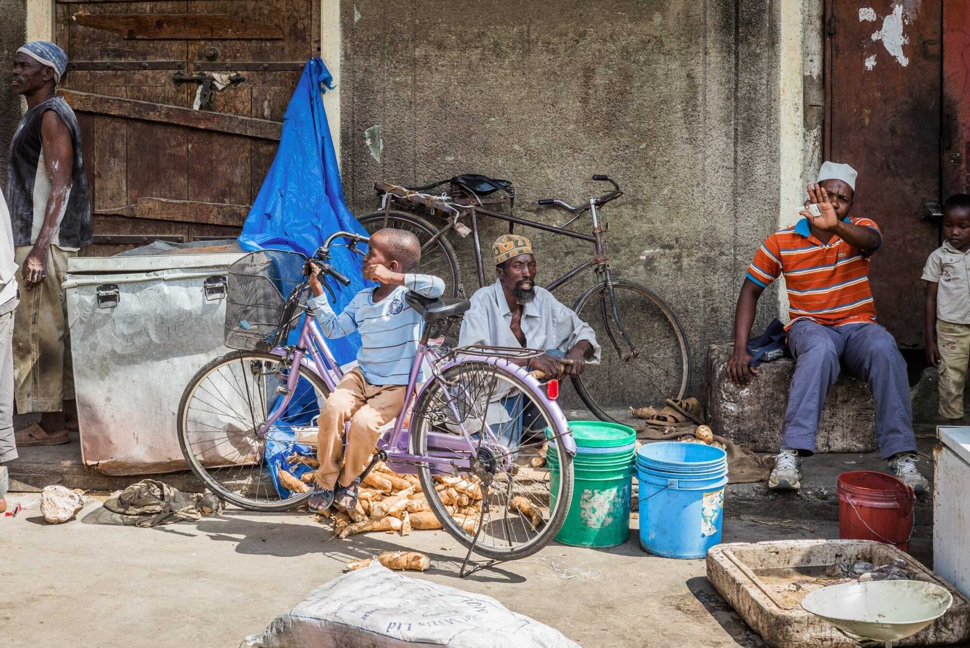 Sansibar, Tansania, 10. Juli 2014  - Reportage Sansibar und Tansania mit Werner Spitteler ueber Malaria, Artemisia Annua, Moringa und Mineralien.