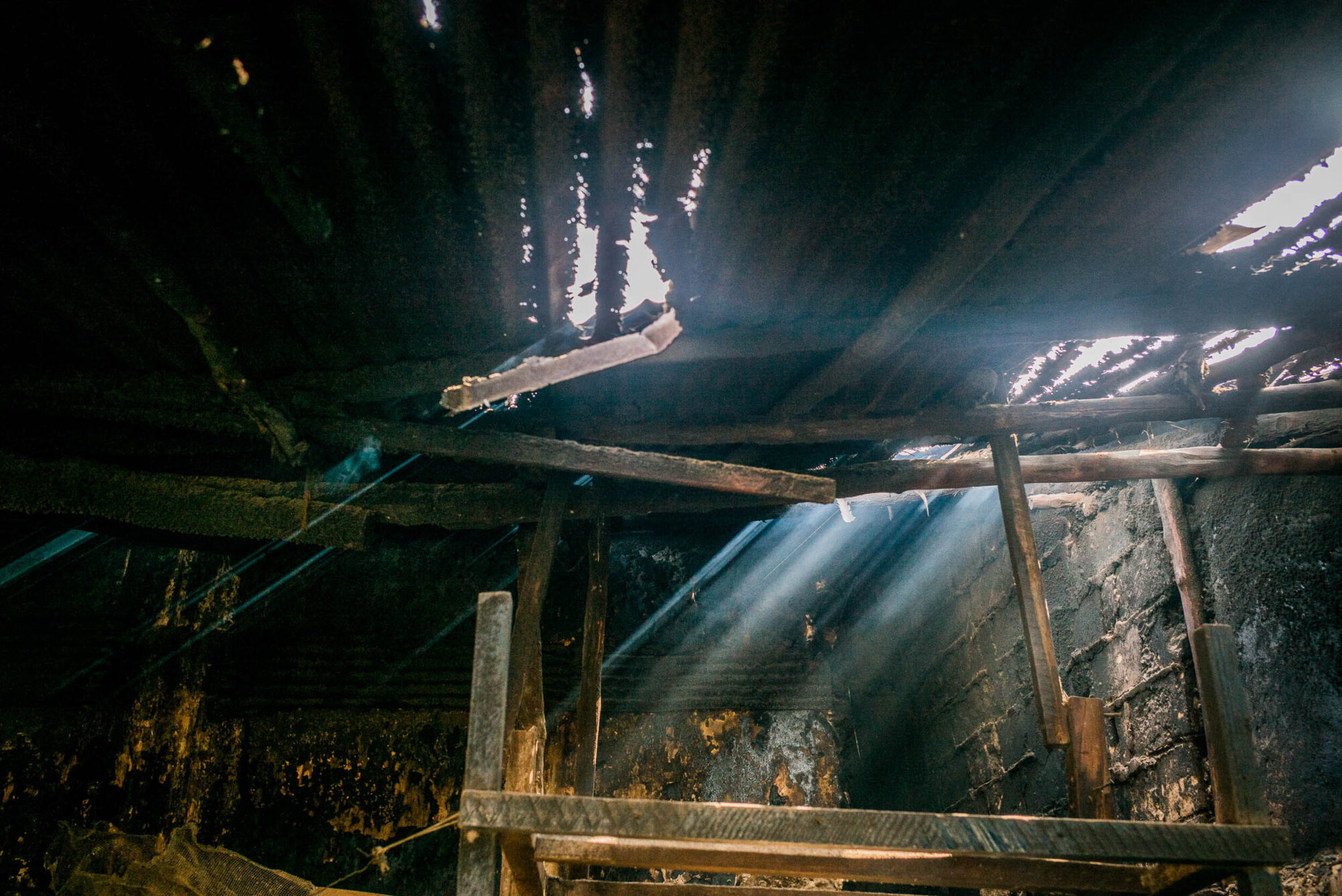 Sansibar, Tansania, 10. Juli 2014  - Reportage Sansibar und Tansania mit Werner Spitteler ueber Malaria, Artemisia Annua, Moringa und Mineralien.