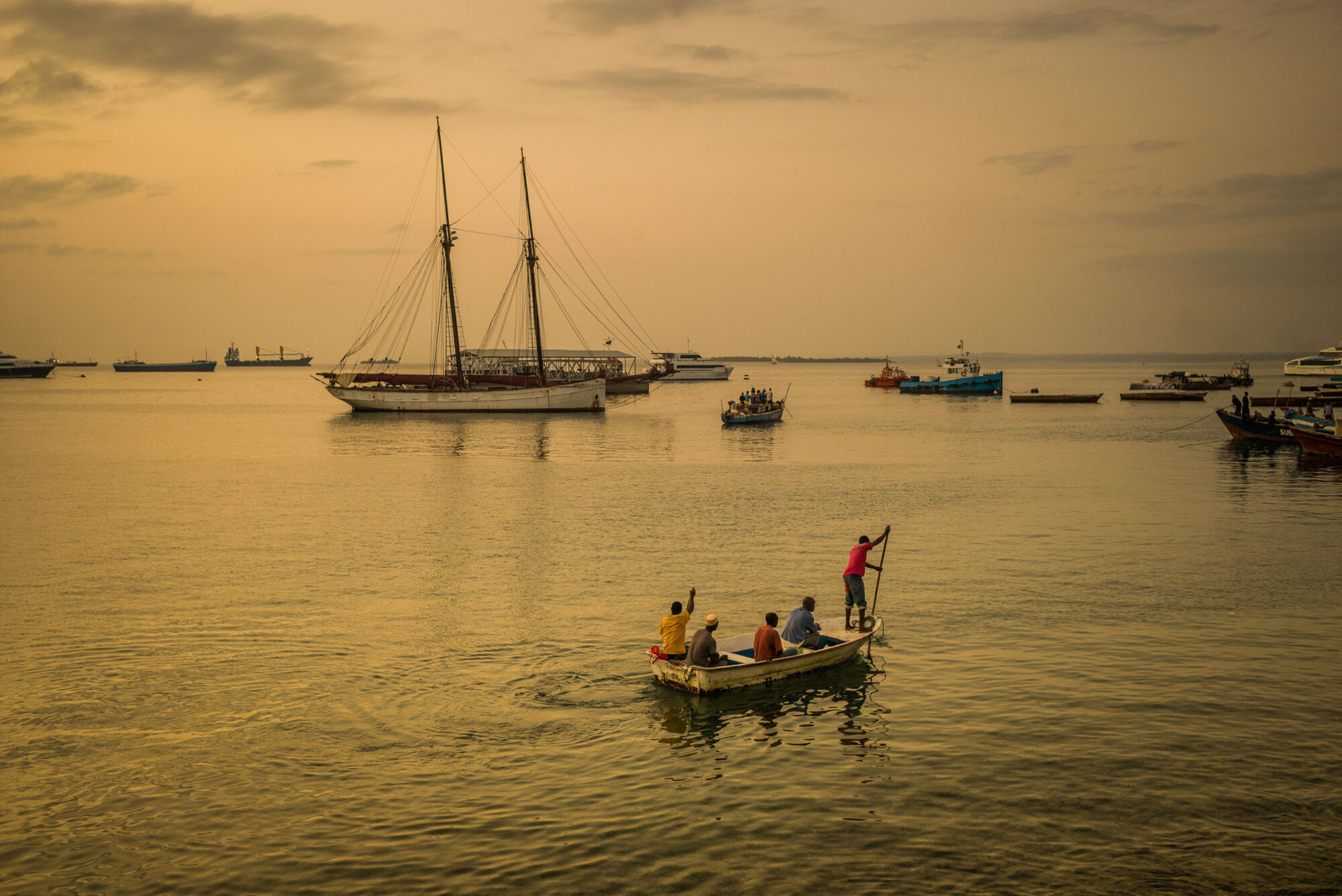 Sansibar, Tansania, 10. Juli 2014  - Reportage Sansibar und Tansania mit Werner Spitteler ueber Malaria, Artemisia Annua, Moringa und Mineralien.