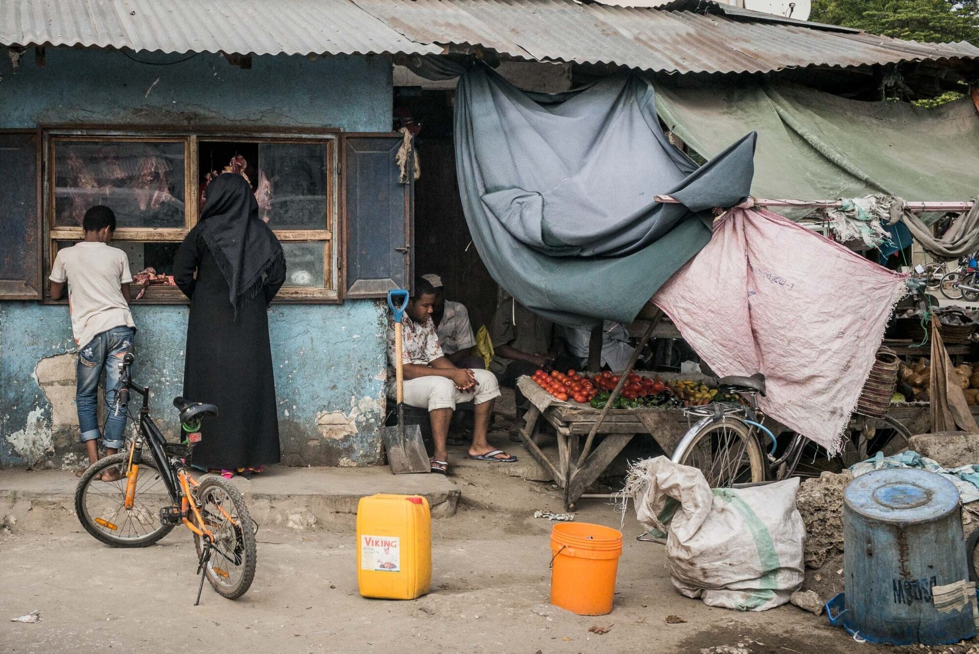 Sansibar, Tansania, 10. Juli 2014  - Reportage Sansibar und Tansania mit Werner Spitteler ueber Malaria, Artemisia Annua, Moringa und Mineralien.