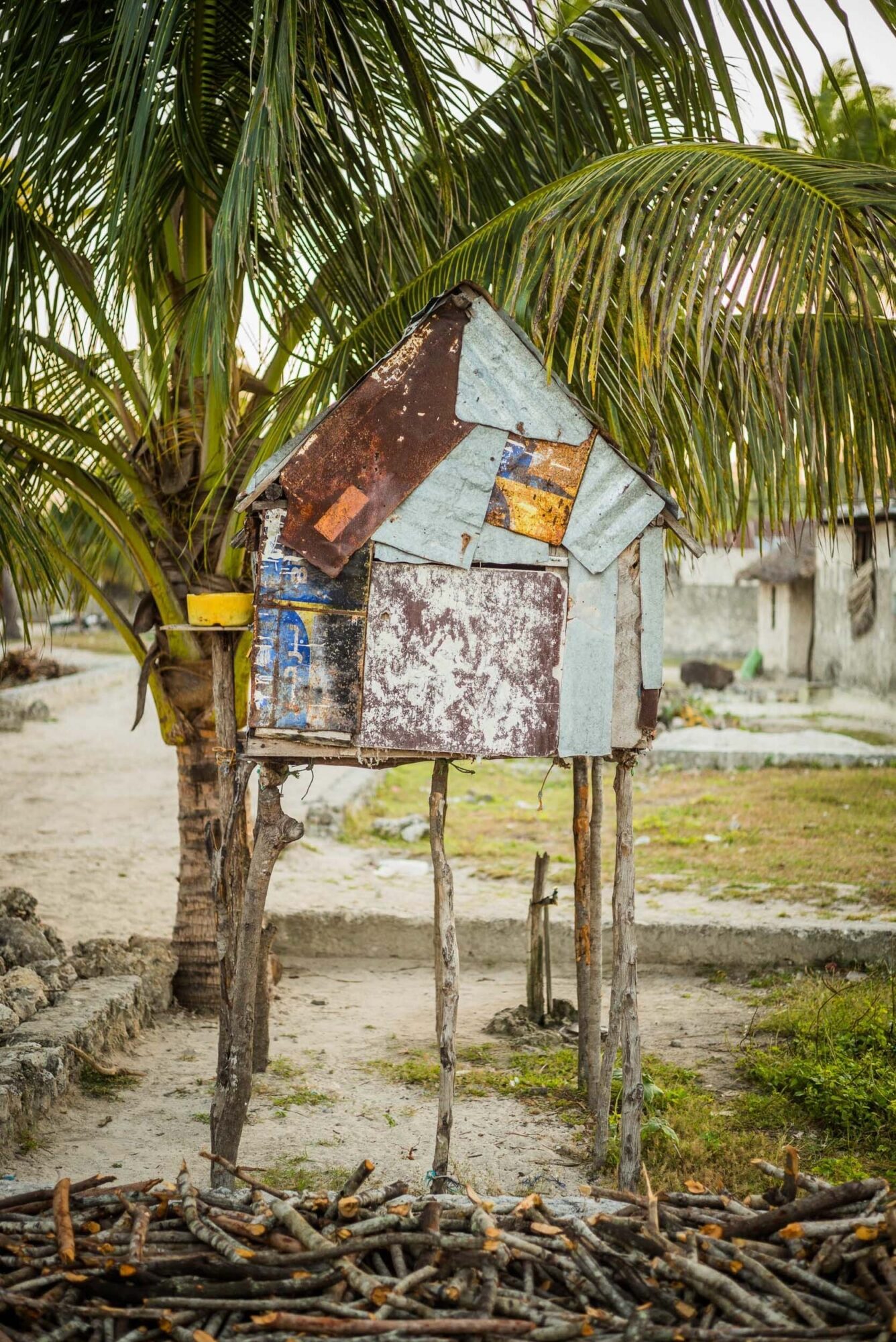 Sansibar, Tansania, 13. Juli 2014  - Ferien auf Sansibar mit Lilli, Marie und Nadja. Reportage in Tansania und Sansibar mit Werner Spitteler ueber Malaria, Artemisia Annua, Moringa und Mineralien.