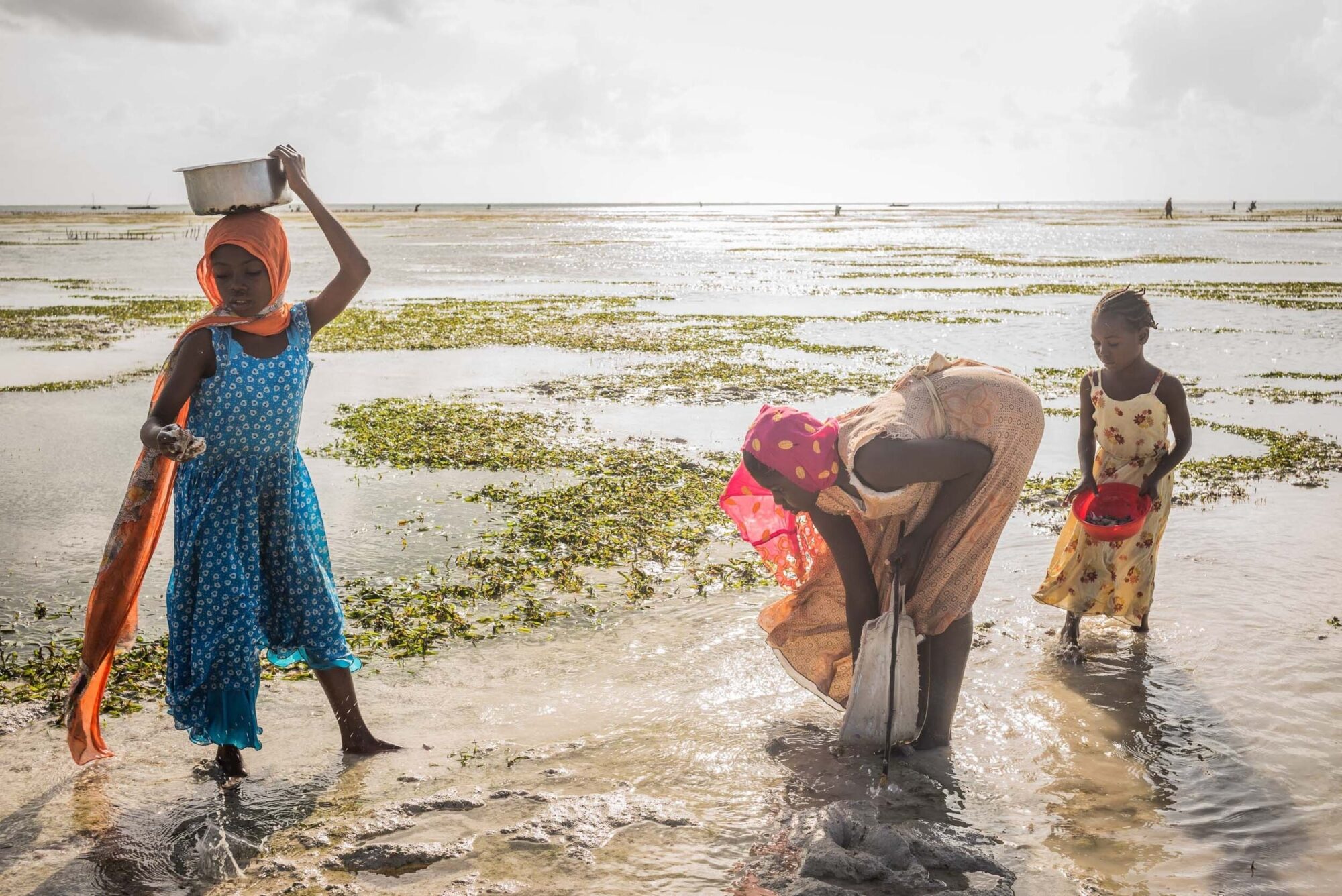Sansibar, Tansania, 13. Juli 2014  - Ferien auf Sansibar mit Lilli, Marie und Nadja. Reportage in Tansania und Sansibar mit Werner Spitteler ueber Malaria, Artemisia Annua, Moringa und Mineralien.