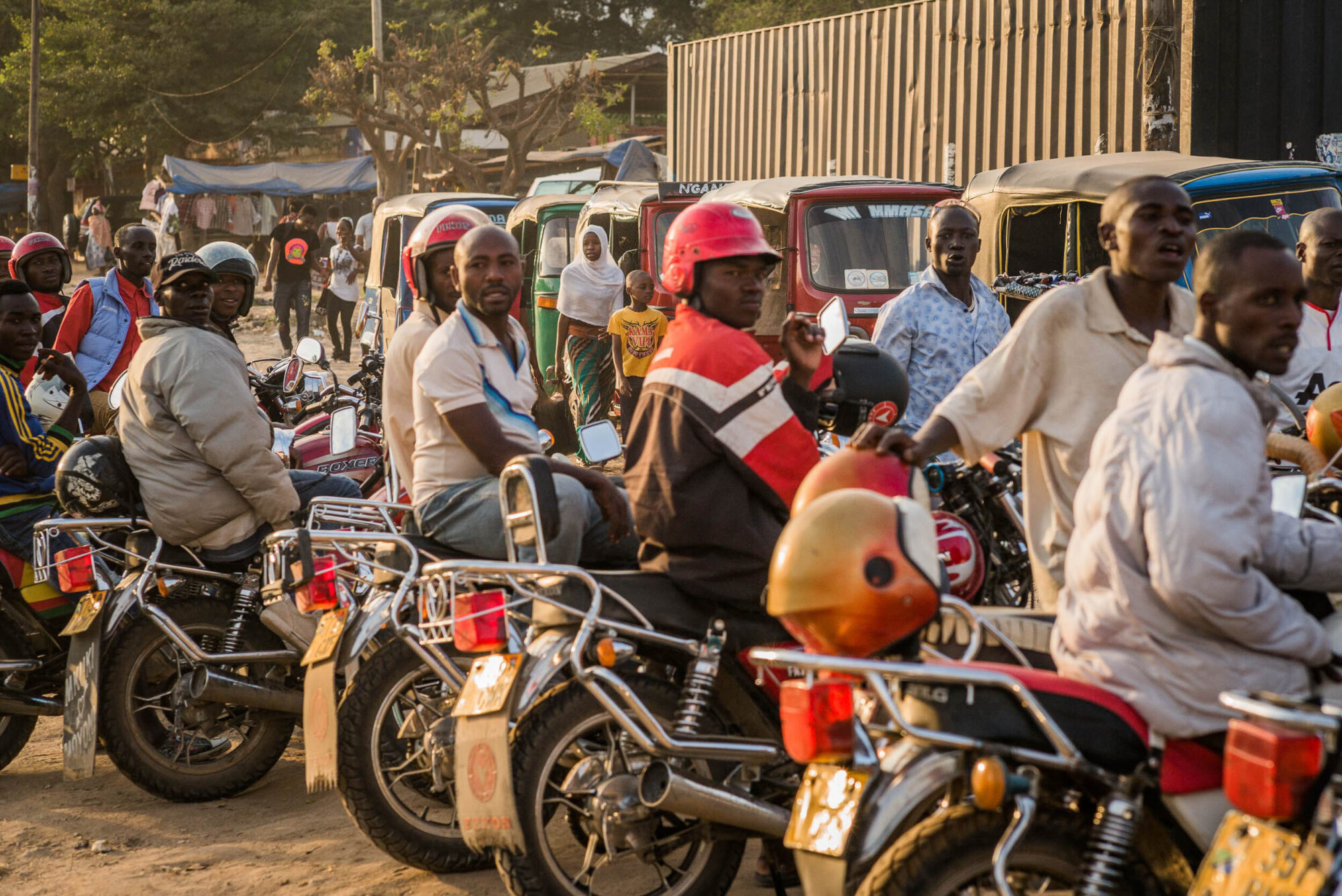 Sansibar, Tansania, 15. Juli 2014  - Reportage in Tansania und Sansibar mit Werner Spitteler ueber Malaria, Artemisia Annua, Moringa und Mineralien.
