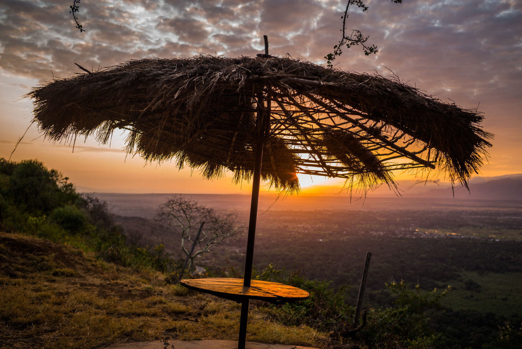 Dar Es Salaam, Tansania, 18. Juli 2014  - Lake Manyara, National Park, Voegel, Elefanten, Giraffen und andere Tiere. Artemisia Annua, Moringa und Mineralien, Reportage in Tansania und Sansibar mit Werner Spitteler ueber Malaria