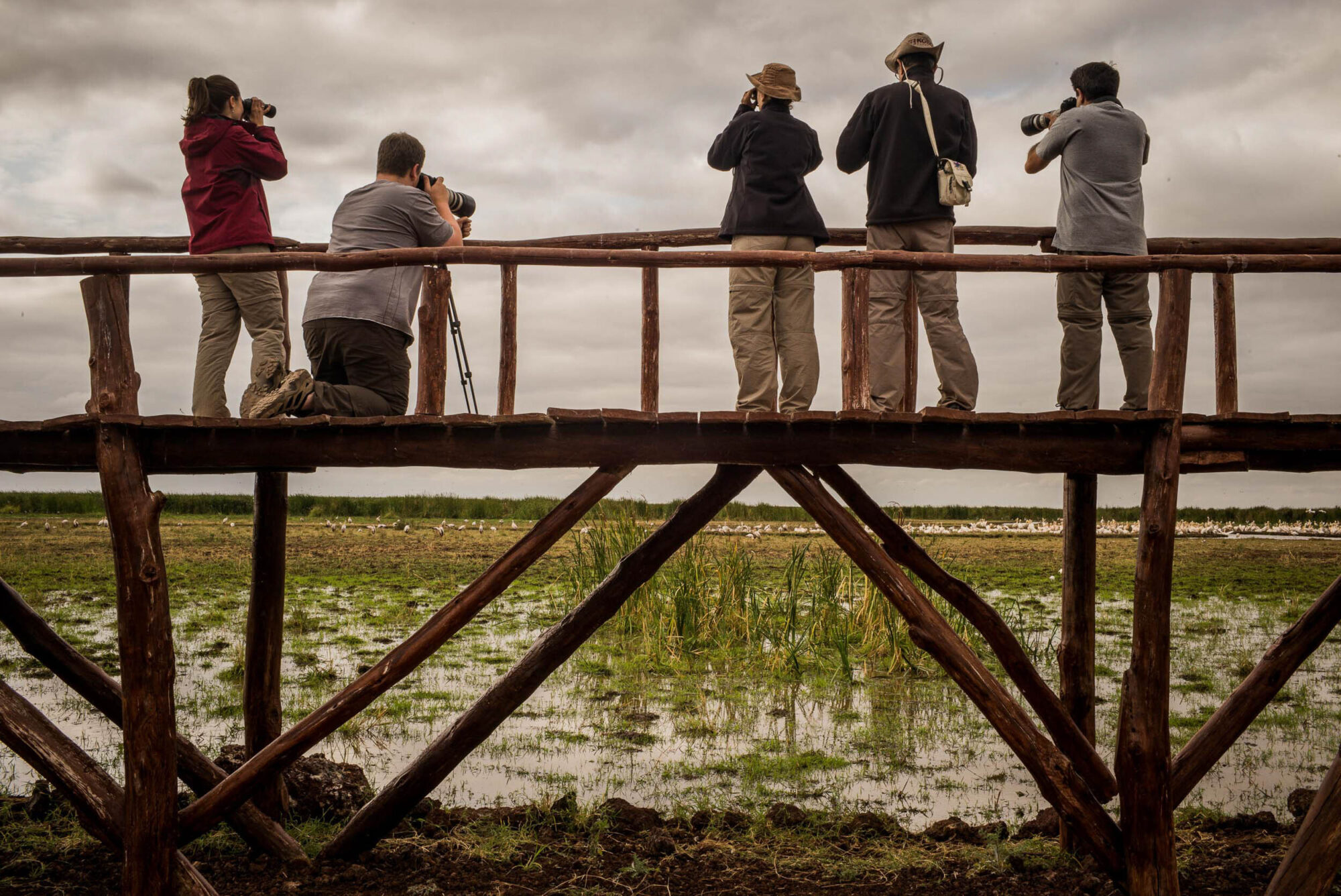Dar Es Salaam, Tansania, 18. Juli 2014  - Lake Manyara, National Park, Voegel, Elefanten, Giraffen und andere Tiere. Artemisia Annua, Moringa und Mineralien, Reportage in Tansania und Sansibar mit Werner Spitteler ueber Malaria