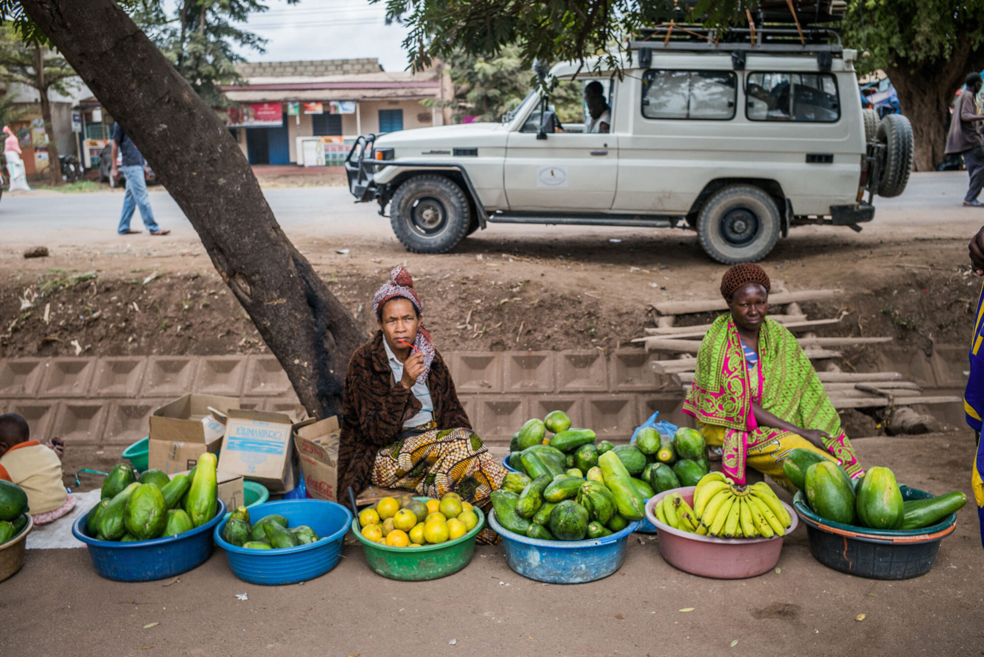 Dar Es Salaam, Tansania, 18. Juli 2014  - Lake Manyara, National Park, Voegel, Elefanten, Giraffen und andere Tiere. Artemisia Annua, Moringa und Mineralien, Reportage in Tansania und Sansibar mit Werner Spitteler ueber Malaria