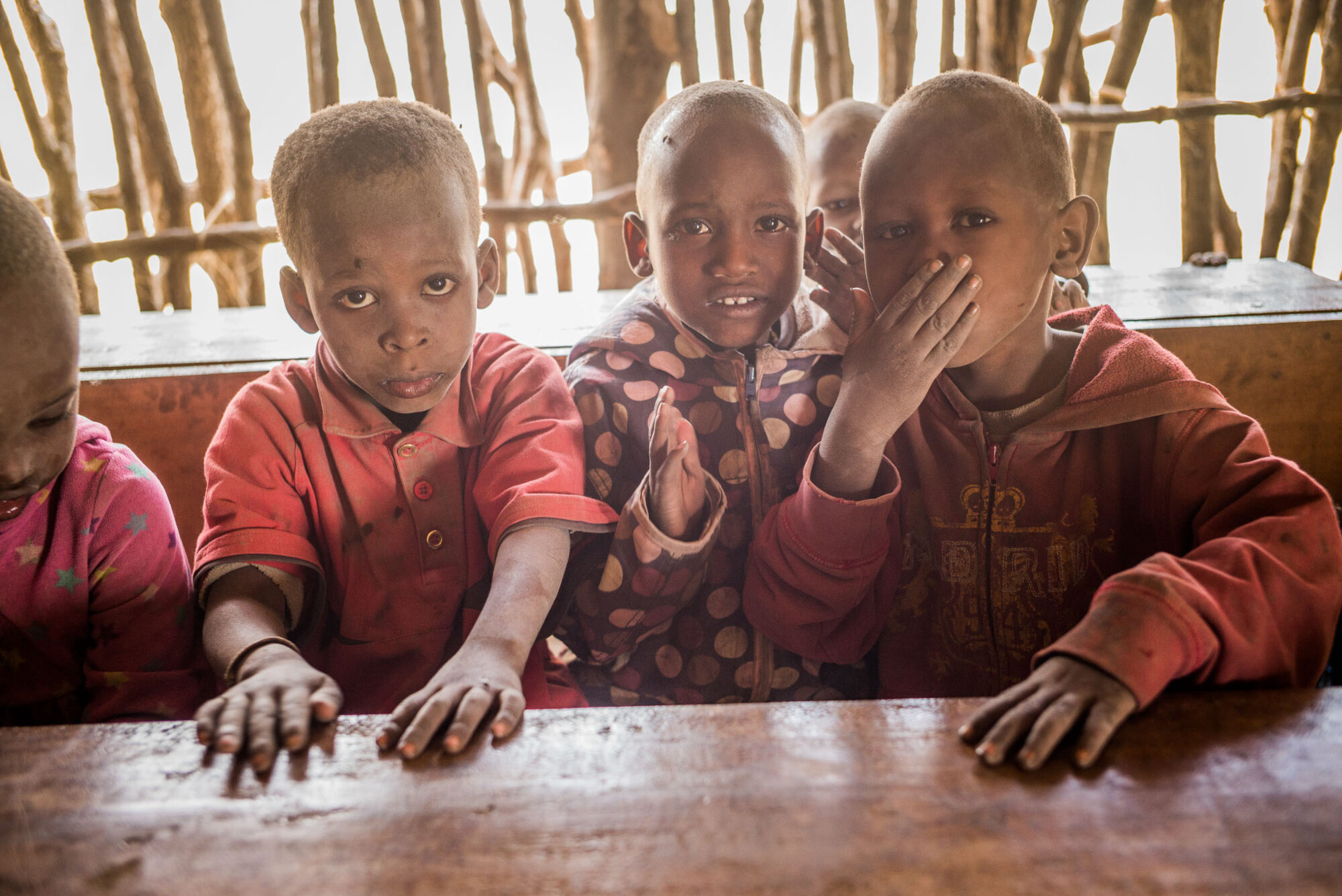 Dar Es Salaam, Tansania, 18. Juli 2014  - Massai Dorf. Reportage in Tansania und Sansibar mit Werner Spitteler ueber Malaria, Artemisia Annua, Moringa und Mineralien.