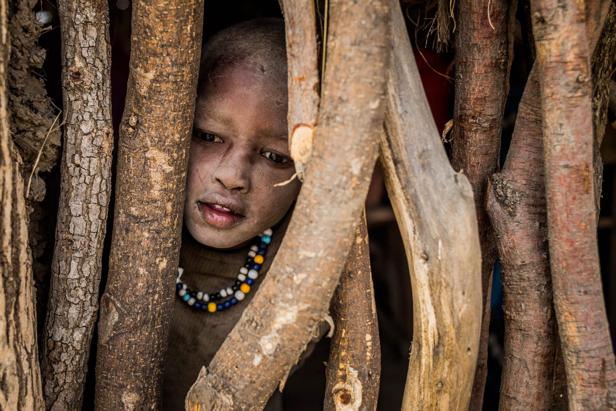 Dar Es Salaam, Tansania, 18. Juli 2014  - Massai Dorf. Reportage in Tansania und Sansibar mit Werner Spitteler ueber Malaria, Artemisia Annua, Moringa und Mineralien.