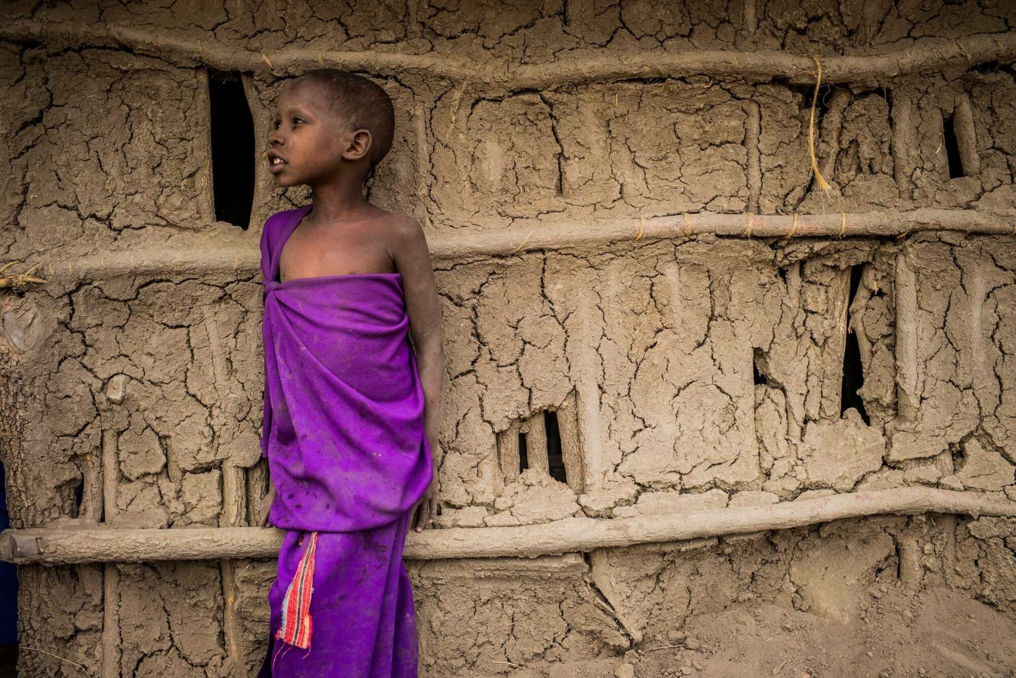 Dar Es Salaam, Tansania, 18. Juli 2014  - Massai Dorf. Reportage in Tansania und Sansibar mit Werner Spitteler ueber Malaria, Artemisia Annua, Moringa und Mineralien.