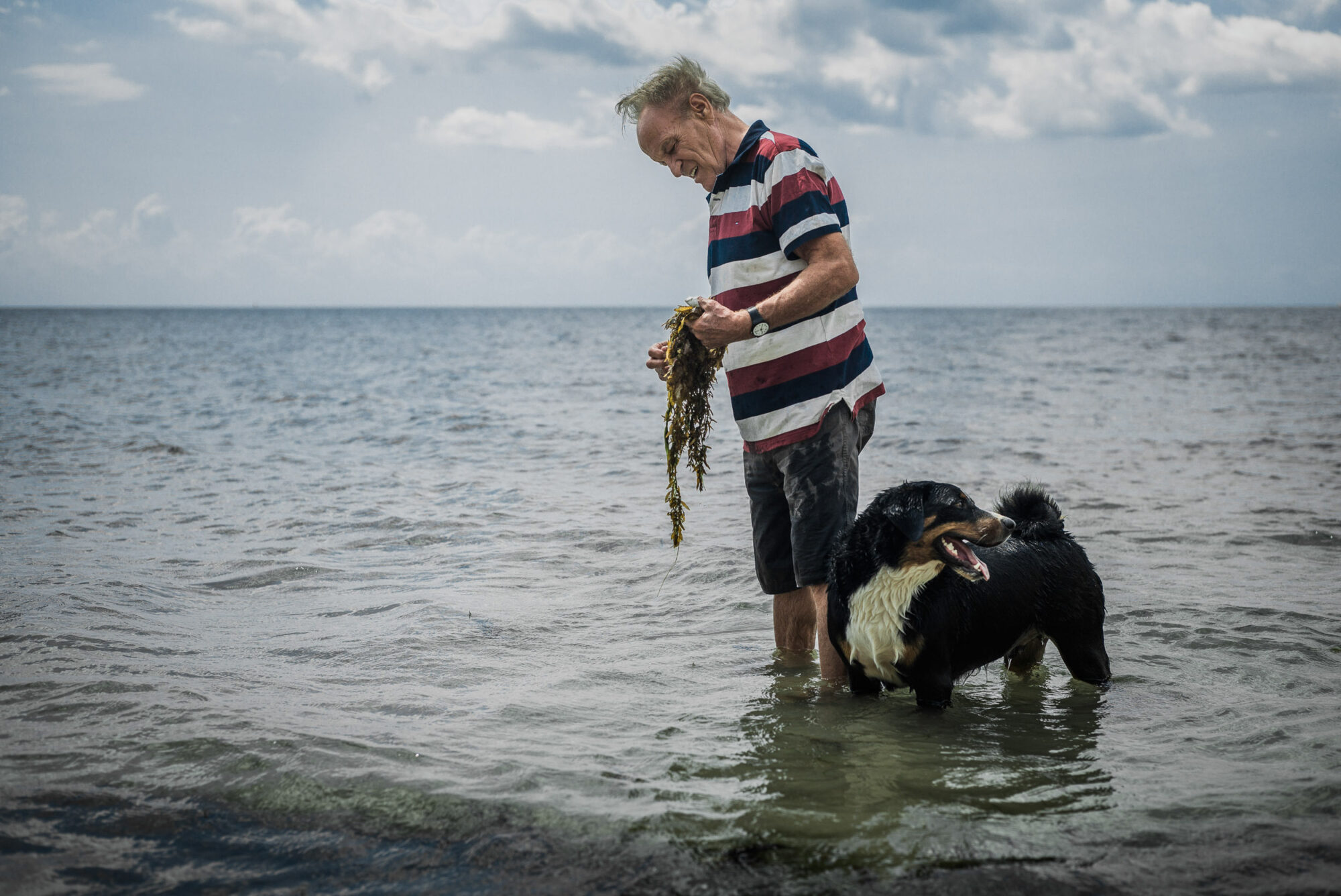 Dar Es Salaam, Tansania, 22. Juli 2014 - Werner Spitteler und sein Hund Blaess in Bagamoyo am Strand. Reportage in Tansania und Sansibar mit Werner Spitteler ueber Malaria, Artemisia Annua, Moringa und Mineralien.