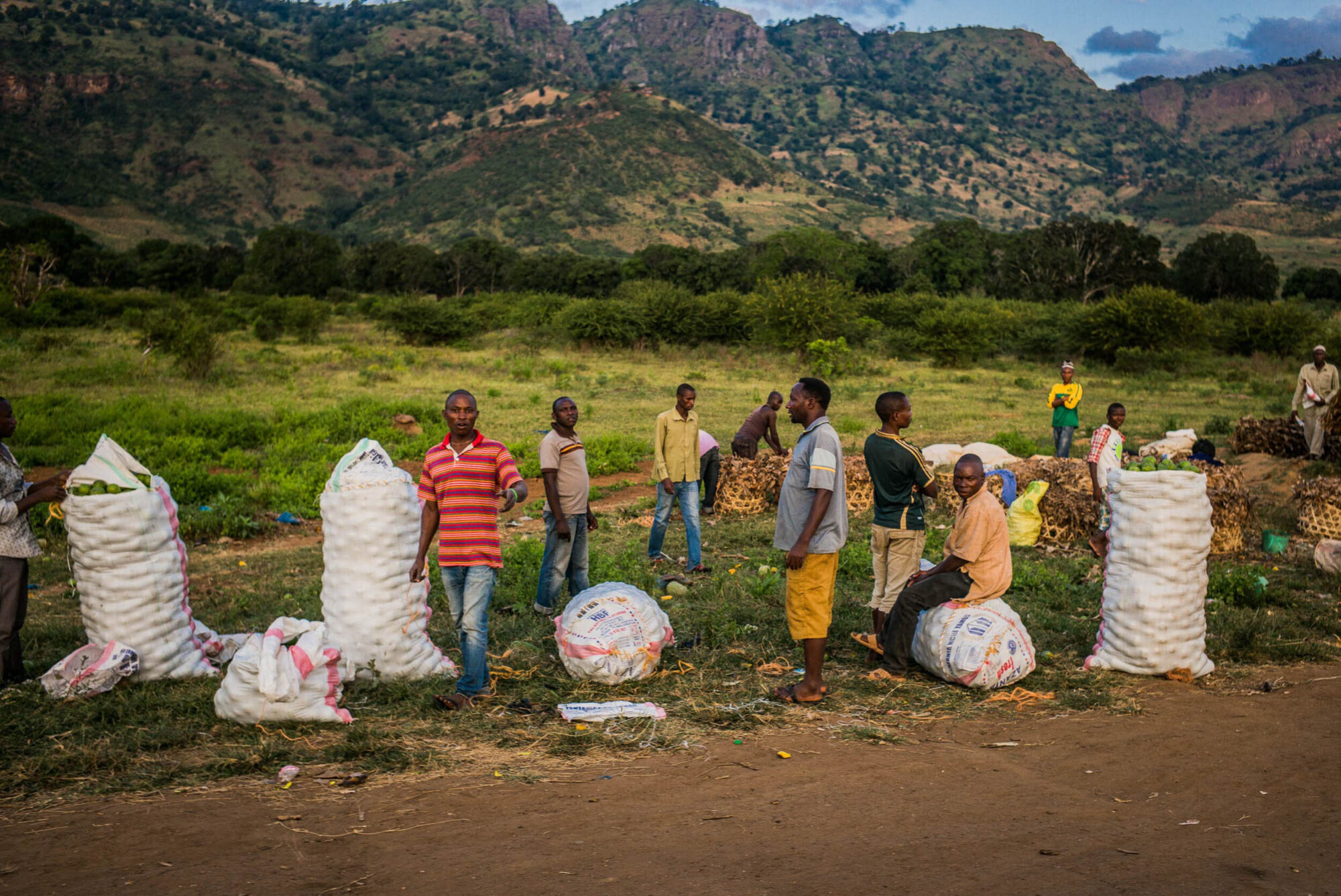Dar Es Salaam, Tansania, 22. Juli 2014  - .Grab von  Yohani Kinyala Lauwo, Reportage in Tansania und Sansibar mit Werner Spitteler ueber Malaria, Artemisia Annua, Moringa und Mineralien.