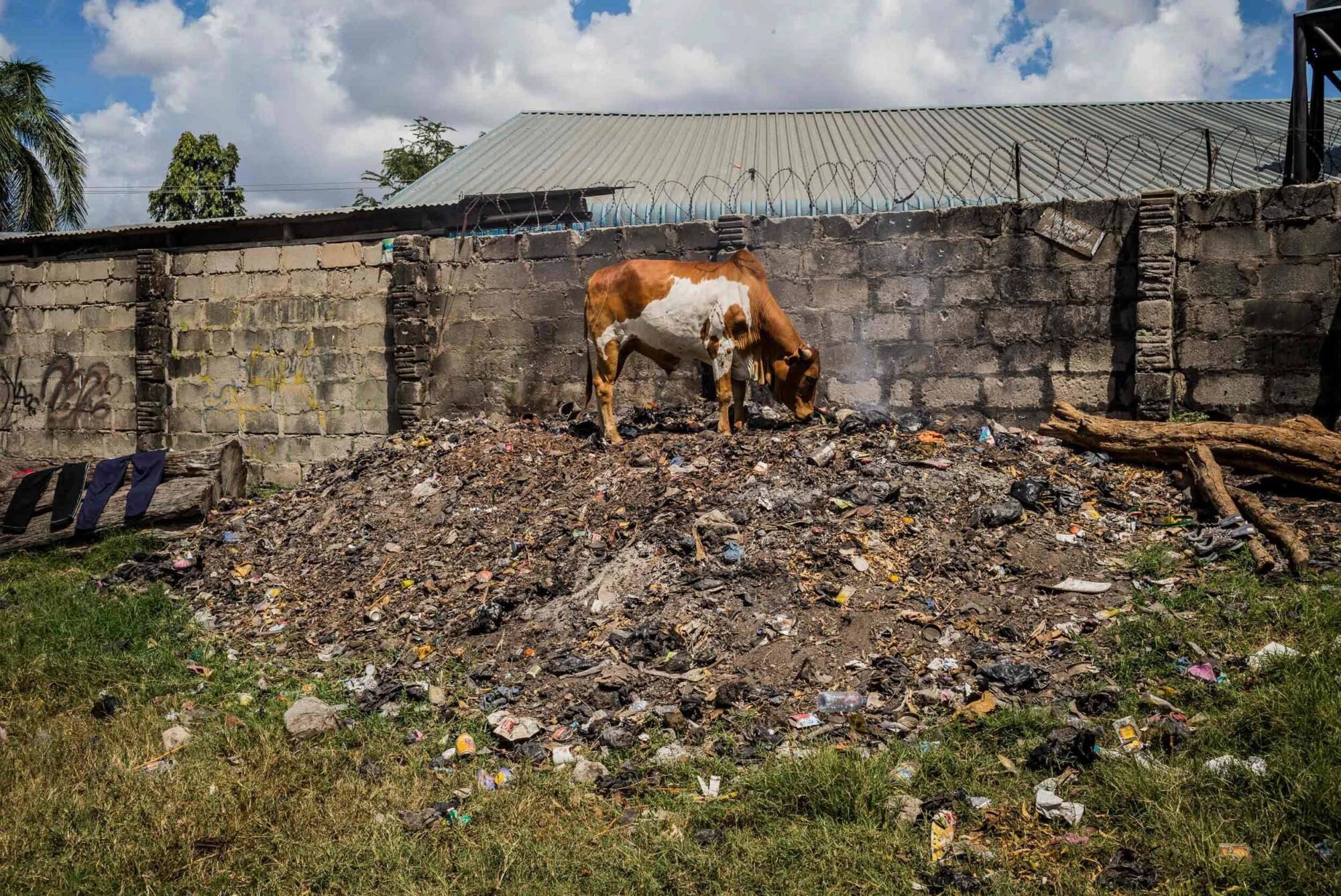 Dar Es Salaam, Tansania, 22. Juli 2014  - .Grab von  Yohani Kinyala Lauwo, Reportage in Tansania und Sansibar mit Werner Spitteler ueber Malaria, Artemisia Annua, Moringa und Mineralien.