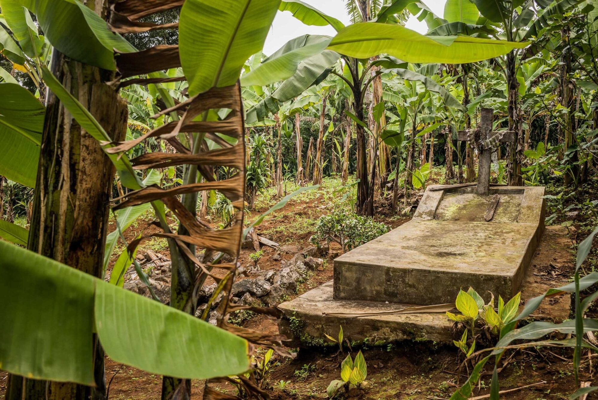 Dar Es Salaam, Tansania, 22. Juli 2014  - .Grab von  Yohani Kinyala Lauwo, Reportage in Tansania und Sansibar mit Werner Spitteler ueber Malaria, Artemisia Annua, Moringa und Mineralien.