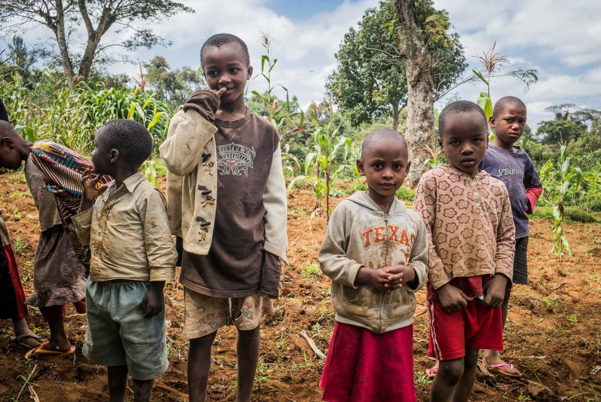 Dar Es Salaam, Tansania, 22. Juli 2014  - .Grab von  Yohani Kinyala Lauwo, Reportage in Tansania und Sansibar mit Werner Spitteler ueber Malaria, Artemisia Annua, Moringa und Mineralien.