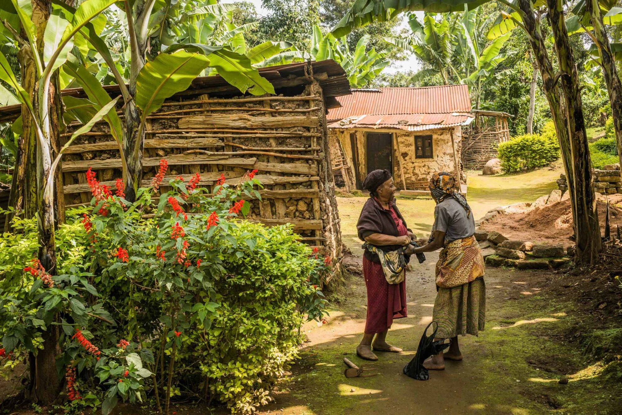 Dar Es Salaam, Tansania, 22. Juli 2014  - .Grab von  Yohani Kinyala Lauwo, Reportage in Tansania und Sansibar mit Werner Spitteler ueber Malaria, Artemisia Annua, Moringa und Mineralien.