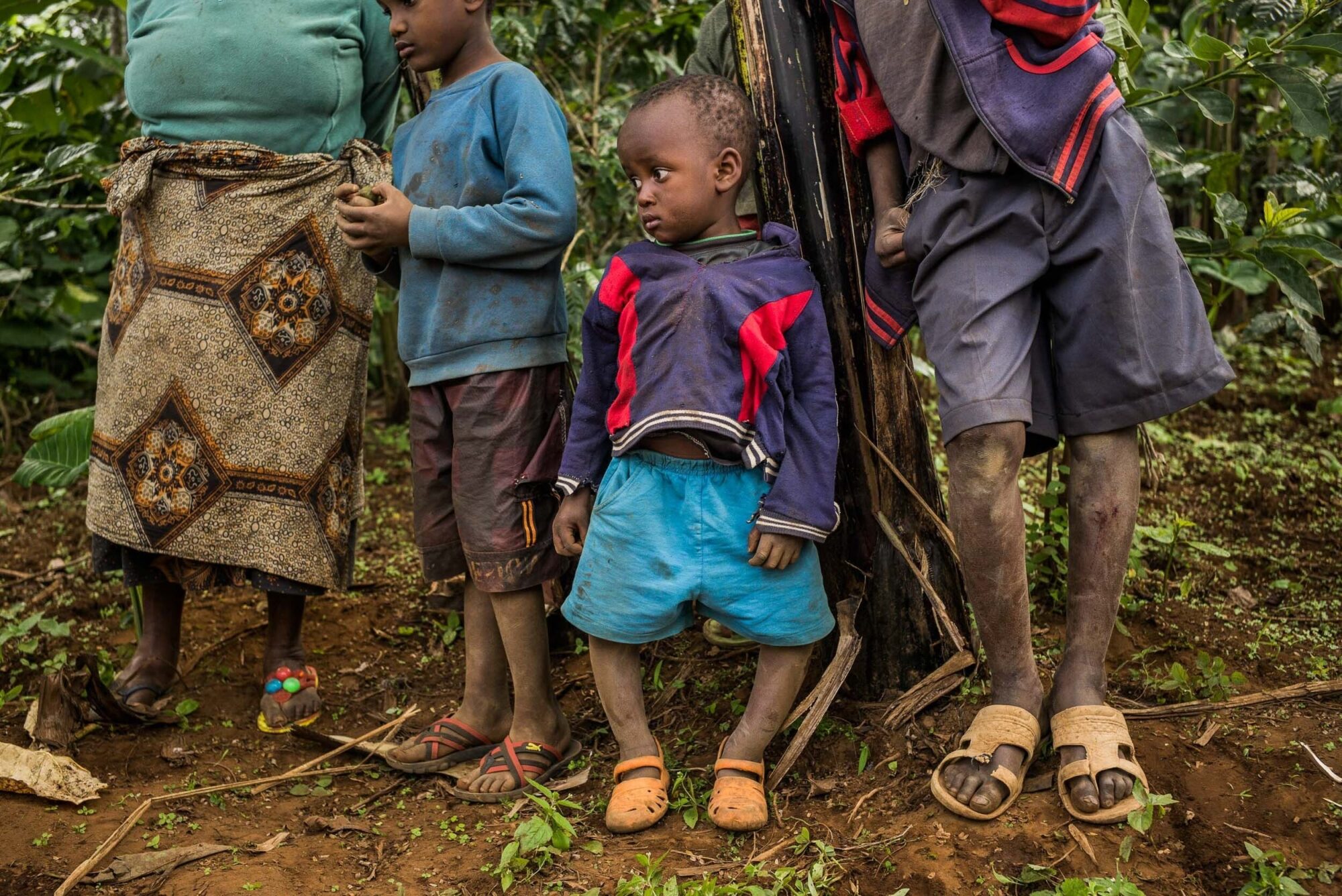 Dar Es Salaam, Tansania, 22. Juli 2014  - .Grab von  Yohani Kinyala Lauwo, Reportage in Tansania und Sansibar mit Werner Spitteler ueber Malaria, Artemisia Annua, Moringa und Mineralien.