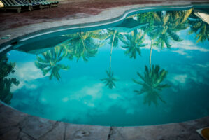 Tansania, 10. Juli 2014  - Reportage in Tansania und Suedafrika mit Werner Spitteler ueber Malaria, Artemisia Annua, Moringa und Mineralien.