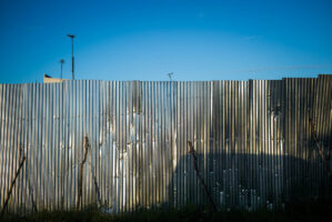 Tansania, 10. Juli 2014  - Reportage in Tansania und Suedafrika mit Werner Spitteler ueber Malaria, Artemisia Annua, Moringa und Mineralien.