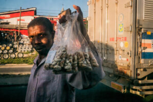 Dar Es Salaam, Tansania, 5. Juli 2014  - Reportage in Tansania mit Werner Spitteler ueber Malaria, Artemisia Annua, Moringa und Mineralien.