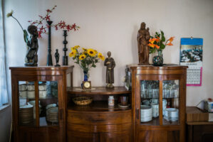 Dar Es Salaam, Tansania, 5. Juli 2014  - Josefata Scheuermann, Baldegger Schwester. Reportage in Tansania mit Werner Spitteler ueber Malaria, Artemisia Annua, Moringa und Mineralien.