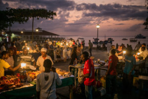 Sansibar, Tansania, 10. Juli 2014  - Reportage Sansibar und Tansania mit Werner Spitteler ueber Malaria, Artemisia Annua, Moringa und Mineralien.