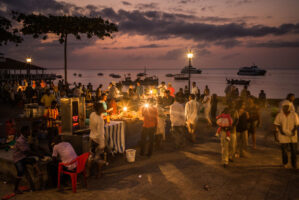Sansibar, Tansania, 10. Juli 2014  - Reportage Sansibar und Tansania mit Werner Spitteler ueber Malaria, Artemisia Annua, Moringa und Mineralien.