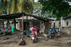 Sansibar, Tansania, 10. Juli 2014  - Reportage Sansibar und Tansania mit Werner Spitteler ueber Malaria, Artemisia Annua, Moringa und Mineralien.