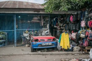 Sansibar, Tansania, 10. Juli 2014  - Reportage Sansibar und Tansania mit Werner Spitteler ueber Malaria, Artemisia Annua, Moringa und Mineralien.