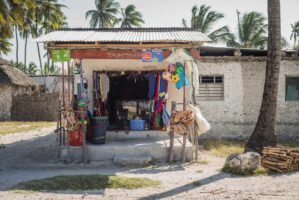 Sansibar, Tansania, 13. Juli 2014  - Ferien auf Sansibar mit Lilli, Marie und Nadja. Reportage in Tansania und Sansibar mit Werner Spitteler ueber Malaria, Artemisia Annua, Moringa und Mineralien.