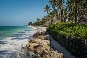 Sansibar, Tansania, 13. Juli 2014  - Ferien auf Sansibar mit Lilli, Marie und Nadja. Reportage in Tansania und Sansibar mit Werner Spitteler ueber Malaria, Artemisia Annua, Moringa und Mineralien.