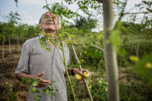 Sansibar, Tansania, 15. Juli 2014  - Reportage in Tansania und Sansibar mit Werner Spitteler ueber Malaria, Artemisia Annua, Moringa und Mineralien.