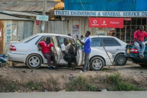 Sansibar, Tansania, 15. Juli 2014  - Reportage in Tansania und Sansibar mit Werner Spitteler ueber Malaria, Artemisia Annua, Moringa und Mineralien.