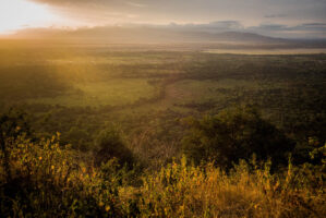 Dar Es Salaam, Tansania, 18. Juli 2014  - Lake Manyara, National Park, Voegel, Elefanten, Giraffen und andere Tiere. Artemisia Annua, Moringa und Mineralien, Reportage in Tansania und Sansibar mit Werner Spitteler ueber Malaria