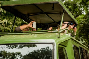 Dar Es Salaam, Tansania, 18. Juli 2014  - Lake Manyara, National Park, Voegel, Elefanten, Giraffen und andere Tiere. Artemisia Annua, Moringa und Mineralien, Reportage in Tansania und Sansibar mit Werner Spitteler ueber Malaria