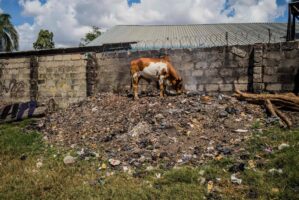 Dar Es Salaam, Tansania, 22. Juli 2014  - .Grab von  Yohani Kinyala Lauwo, Reportage in Tansania und Sansibar mit Werner Spitteler ueber Malaria, Artemisia Annua, Moringa und Mineralien.
