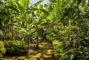 Dar Es Salaam, Tansania, 22. Juli 2014  - .Grab von  Yohani Kinyala Lauwo, Reportage in Tansania und Sansibar mit Werner Spitteler ueber Malaria, Artemisia Annua, Moringa und Mineralien.