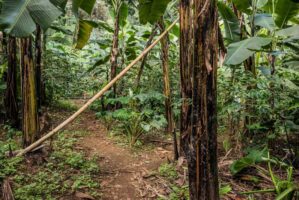 Dar Es Salaam, Tansania, 22. Juli 2014  - .Grab von  Yohani Kinyala Lauwo, Reportage in Tansania und Sansibar mit Werner Spitteler ueber Malaria, Artemisia Annua, Moringa und Mineralien.