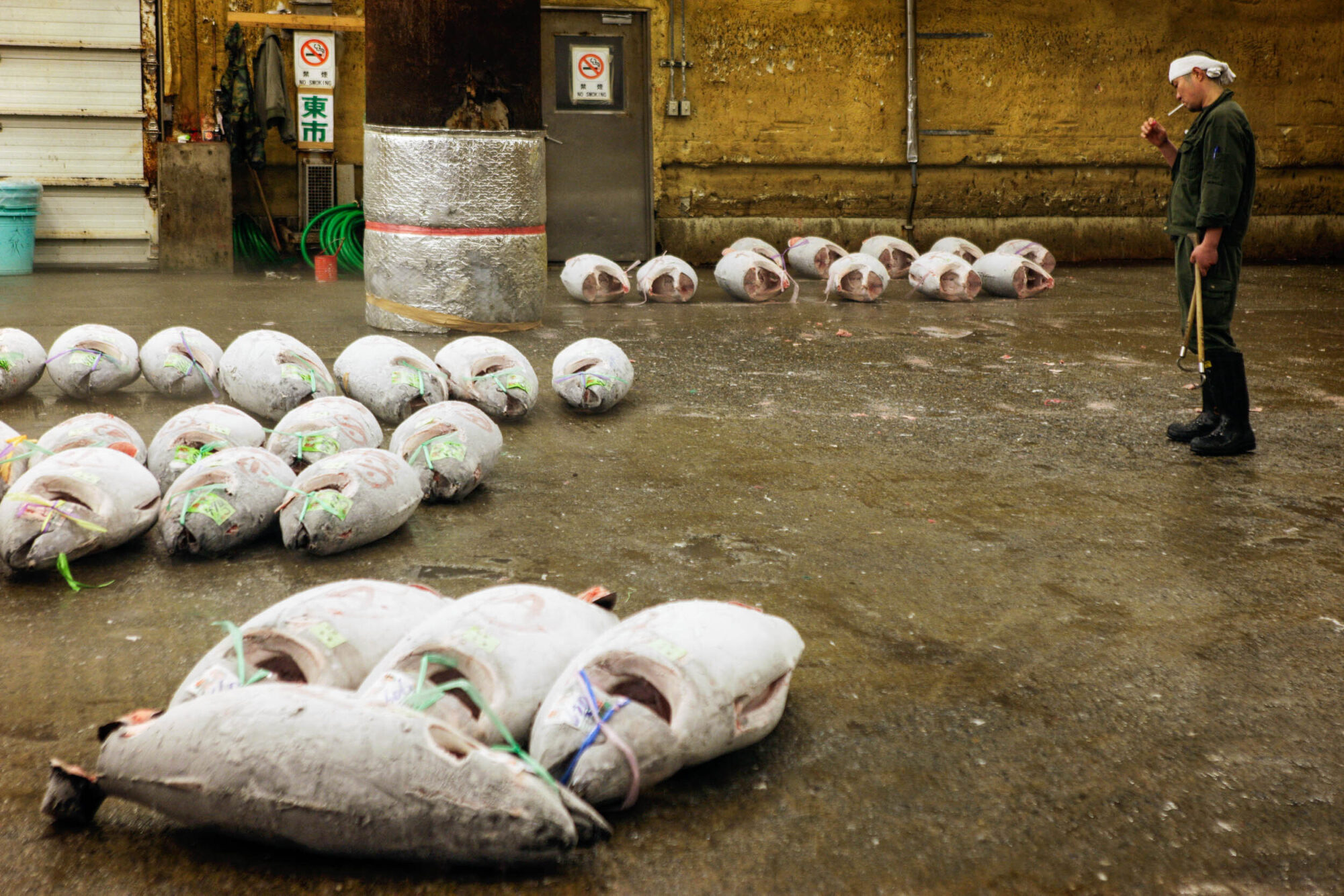 Tokio, Japan, 15. Februar 2009 - Tokio, Hauptstadt von Japan. Fischmarkt.

Photo by Daniel Ammann