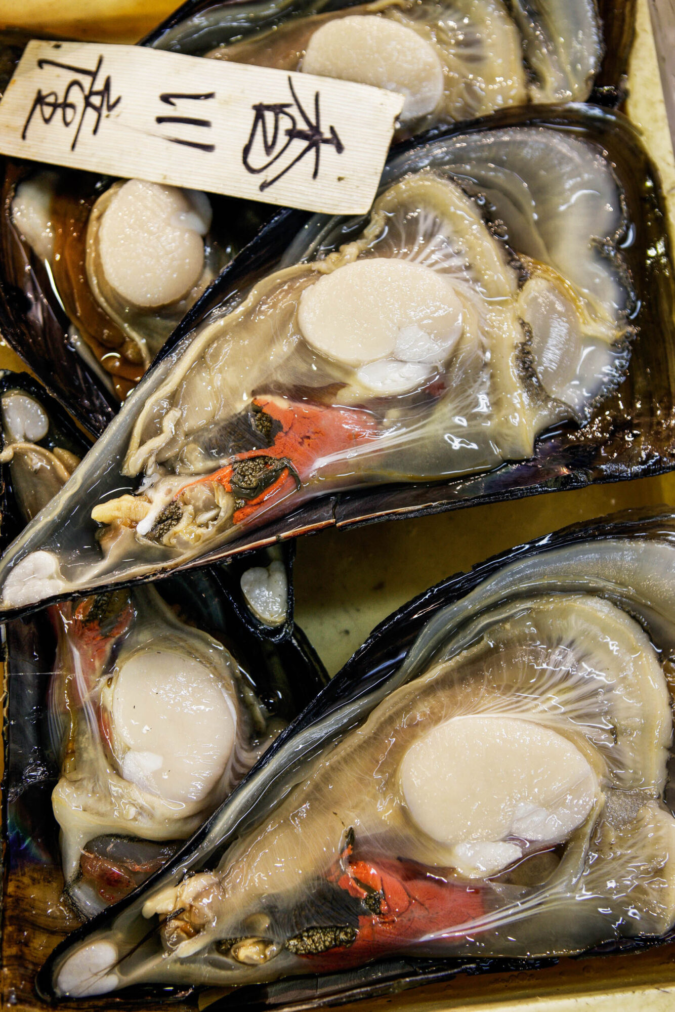 Tokio, Japan, 15. Februar 2009 - Tokio, Hauptstadt von Japan. Fischmarkt.

Photo by Daniel Ammann