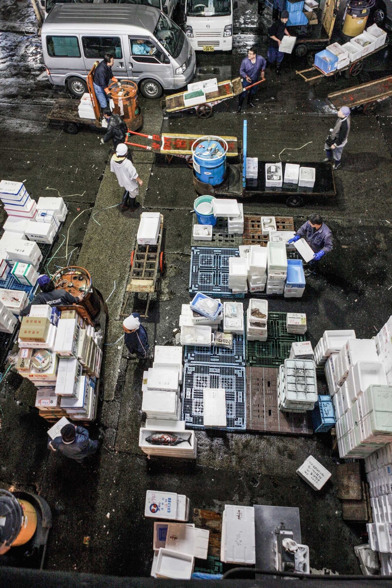 Tokio, Japan, 15. Februar 2009 - Tokio, Hauptstadt von Japan. Fischmarkt.

Photo by Daniel Ammann