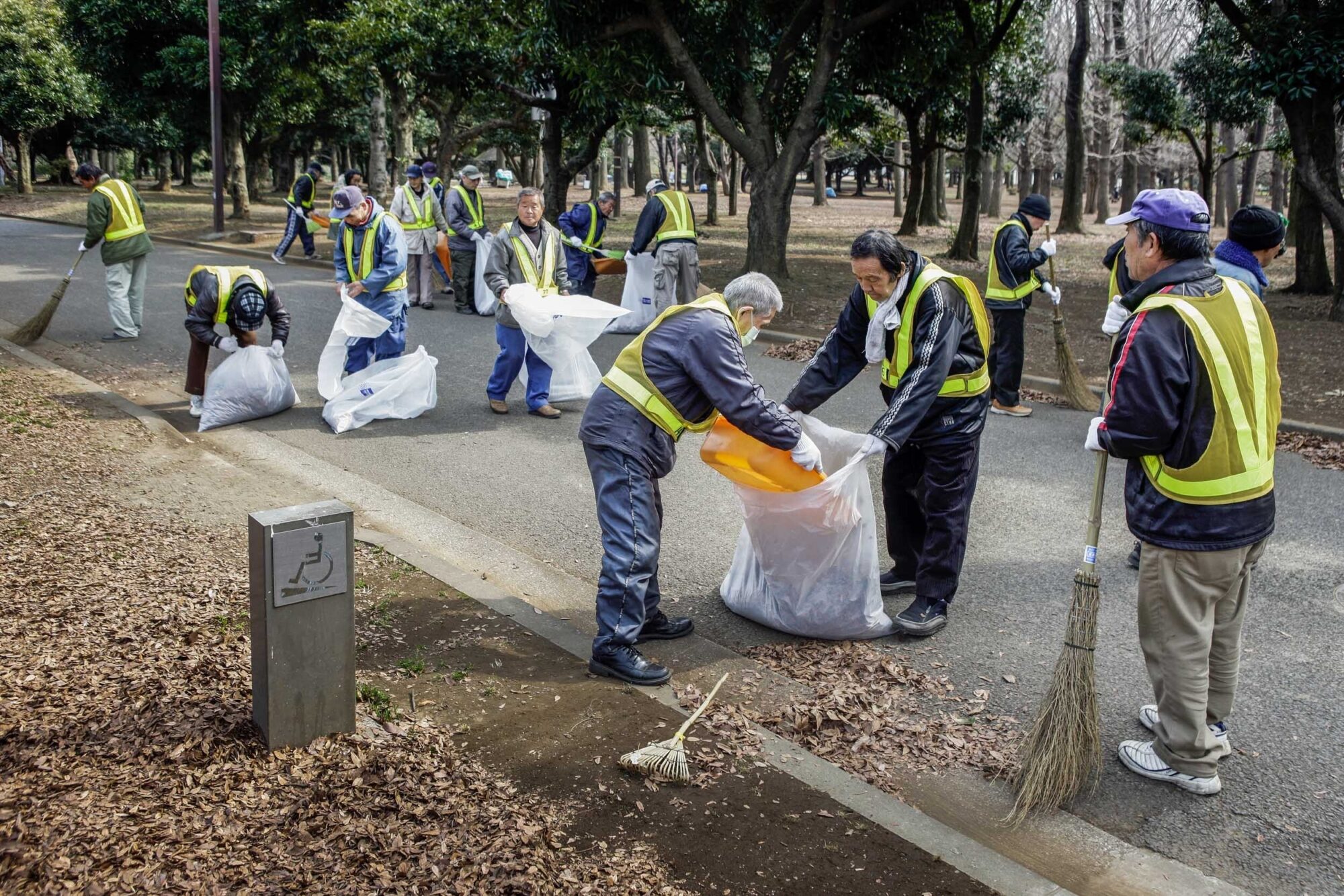 Tokio, Japan, 15. Februar 2009 - Tokio, Hauptstadt von Japan. Im Yojogi Park.

Photo by Daniel Ammann