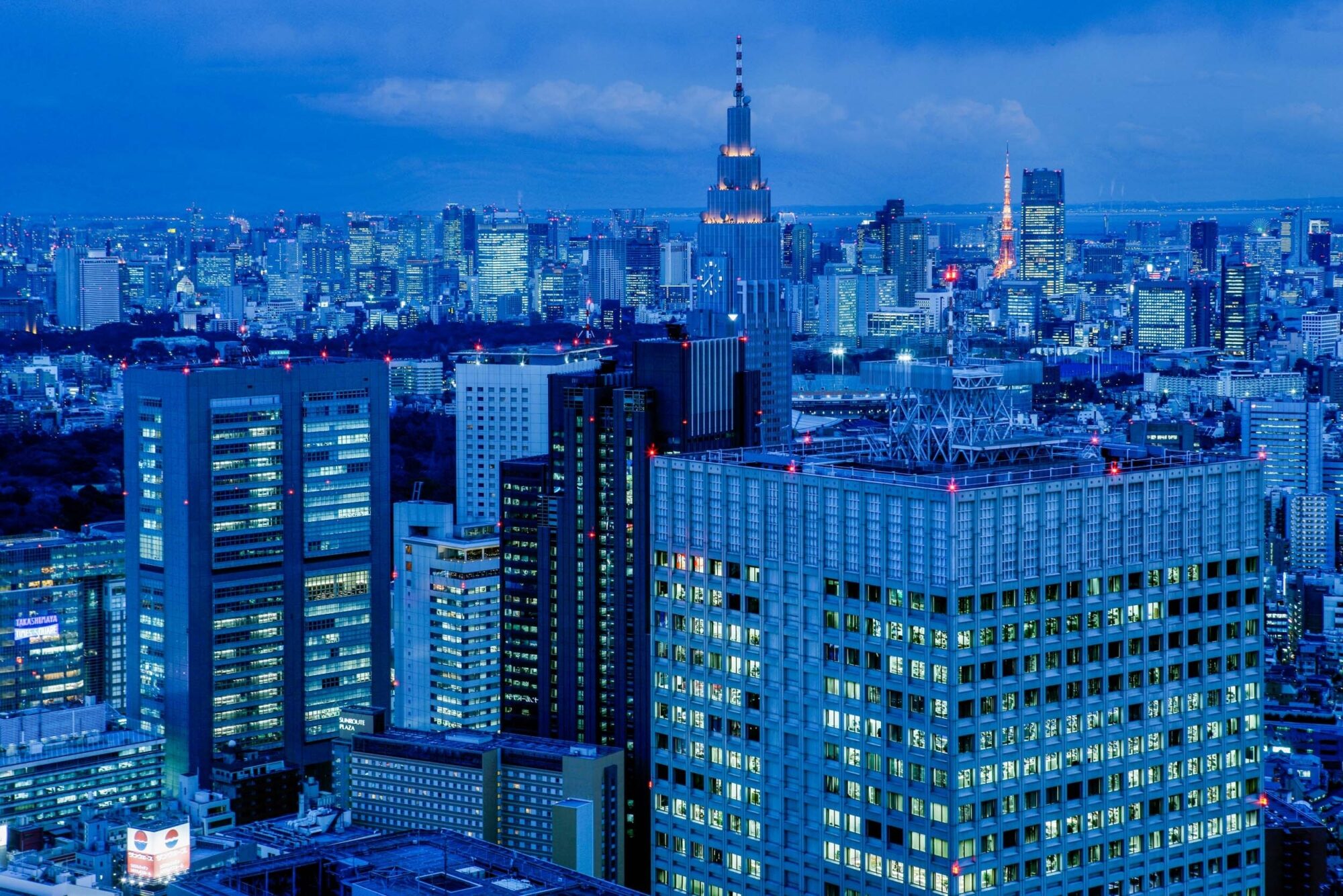 Tokio, Japan, 17. Februar 2009 - Tokio, Hauptstadt von Japan. Blick vom Hochhaus ueber Tokio von Regierungsgebaeude aus.

Photo by Daniel Ammann1